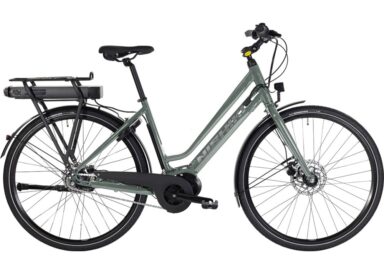 Nishiki Master E Dam Grå